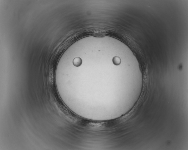 X0000116030170200912111424