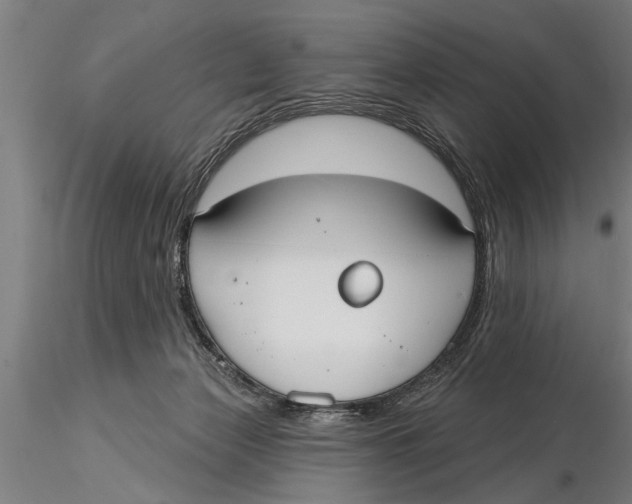 X0000116030173200912111424