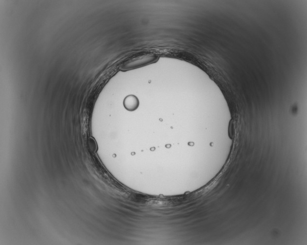 X0000116030174200912111424