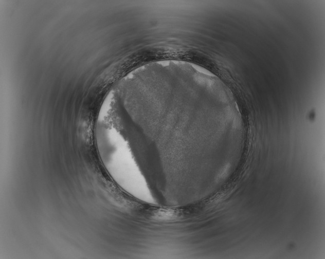 X0000116030177200912111424