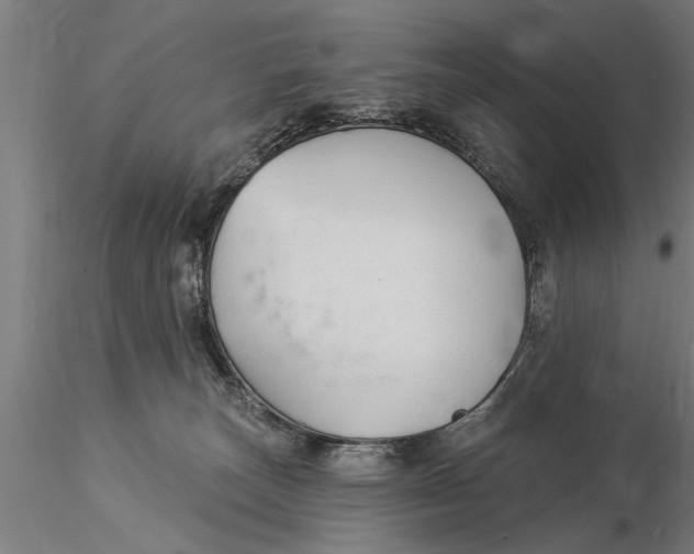 X0000116030179200912111424