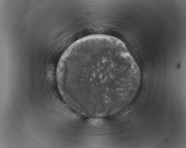 X0000116030181200912111424