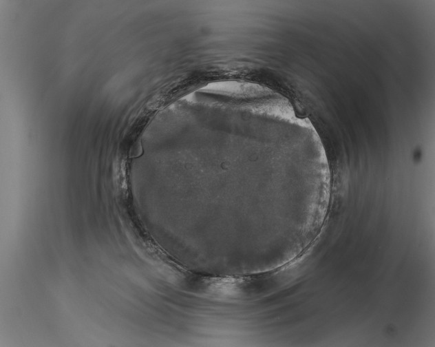 X0000116030182200912111424