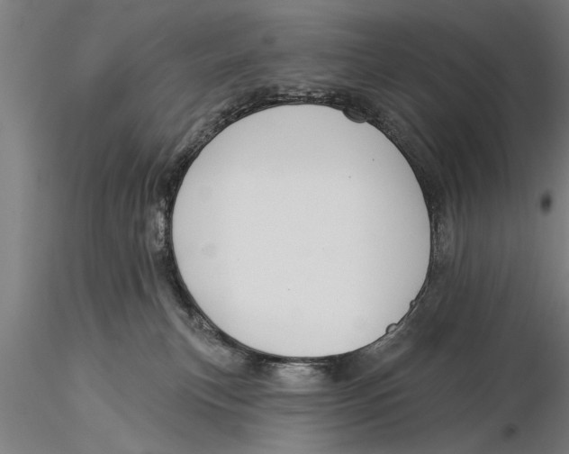 X0000116030183200912111424