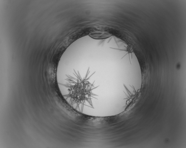 X0000116030186200912111424