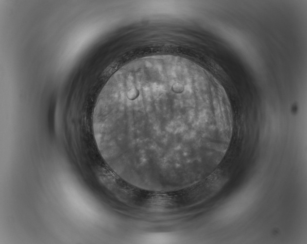 X0000116030189200912111425