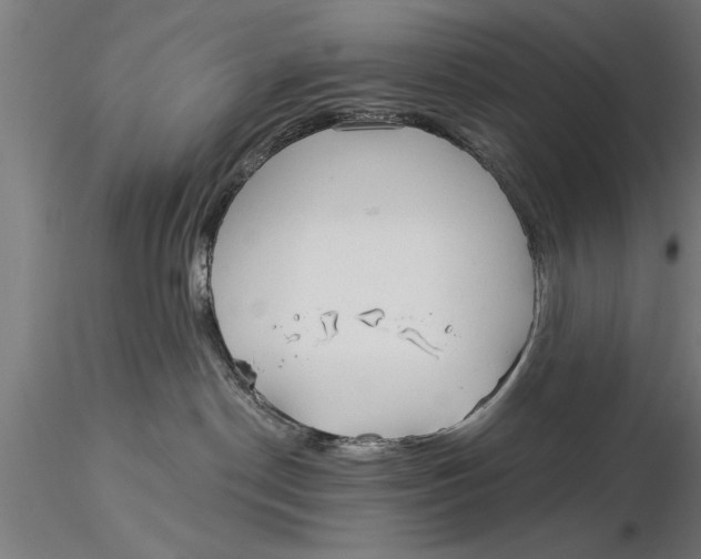 X0000116030190200912111425