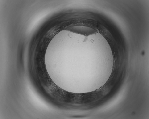 X0000116030191200912111425