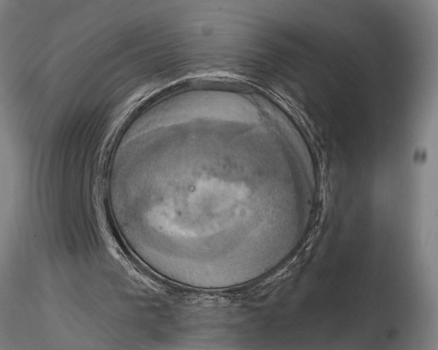 X0000116030193200912111424