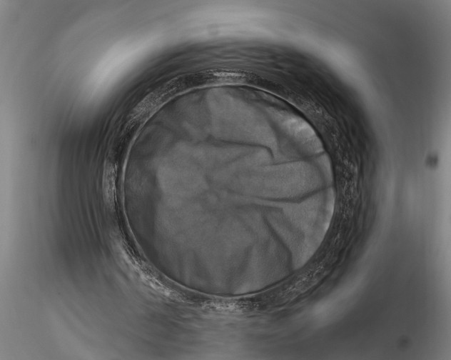 X0000116030194200912111424