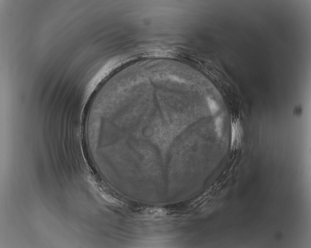 X0000116030195200912111424