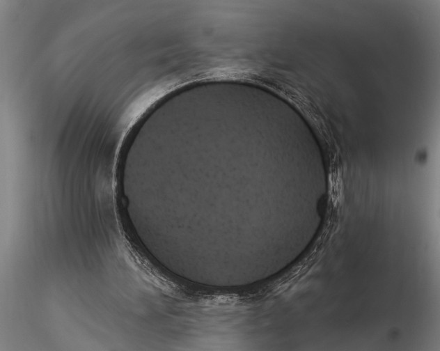 X0000116030196200912111424