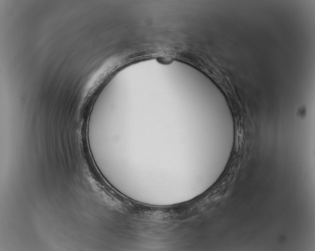 X0000116030197200912111424