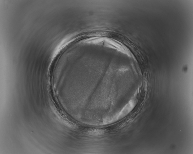 X0000116030198200912111424