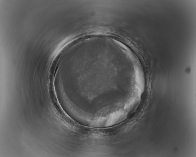 X0000116030199200912111424