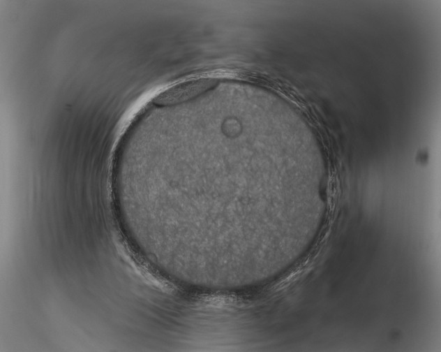 X0000116030200200912111424