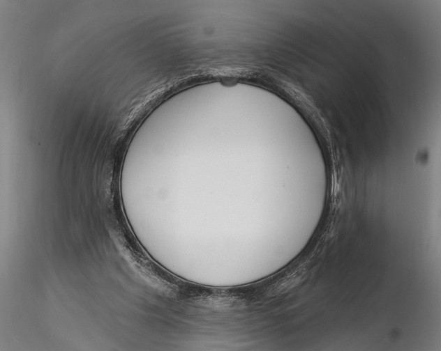 X0000116030201200912111424