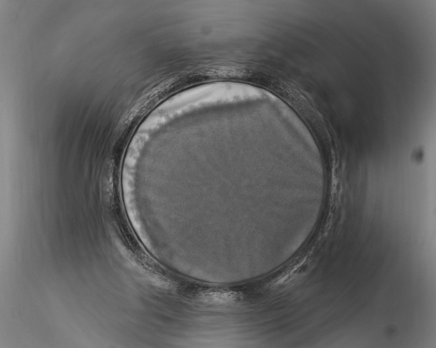 X0000116030202200912111424