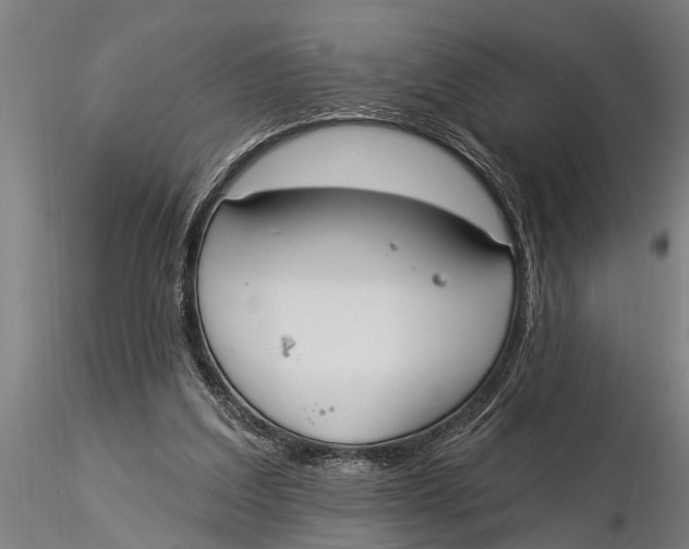 X0000116030203200912111424