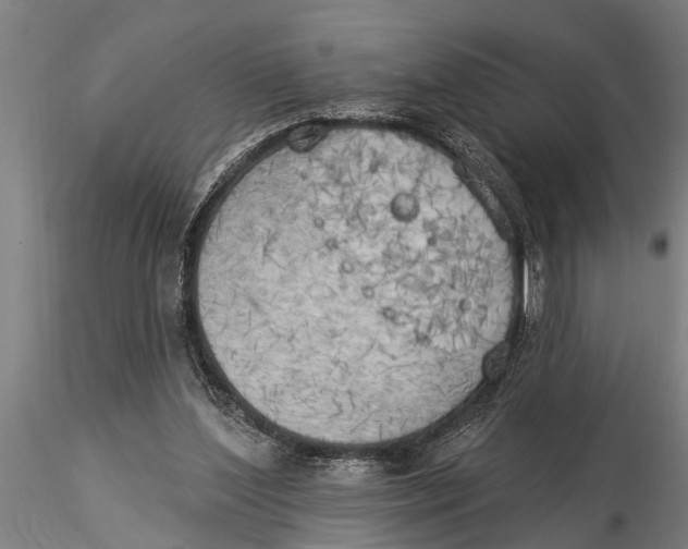 X0000116030204200912111424