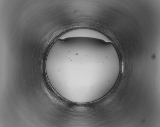 X0000116030205200912111424