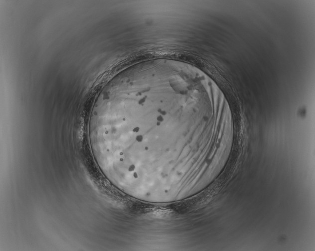 X0000116030210200912111423