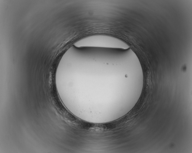 X0000116030211200912111423