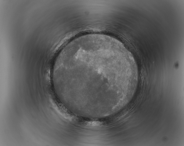 X0000116030212200912111423