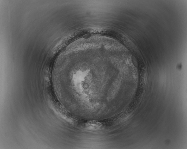 X0000116030215200912111423