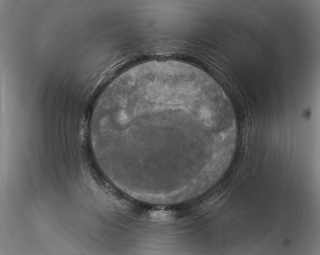 X0000116030216200912111423