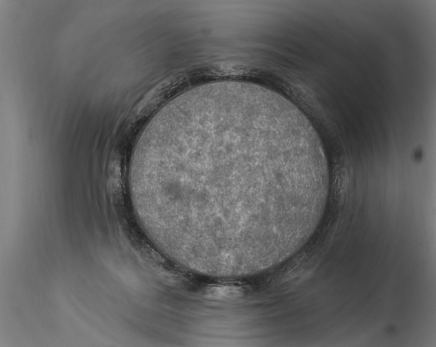 X0000116030220200912111423