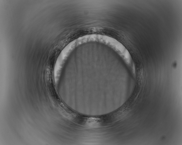 X0000116030222200912111423