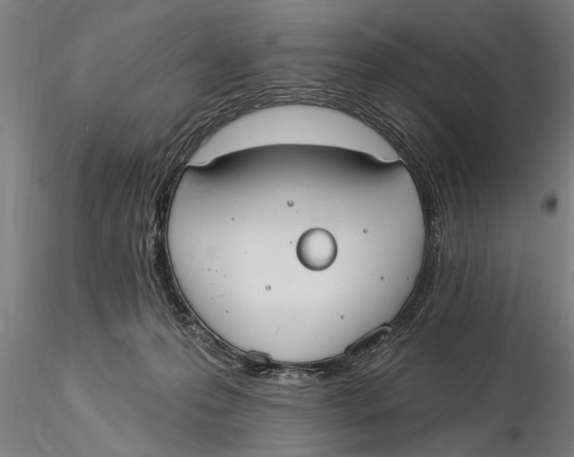 X0000116030223200912111423