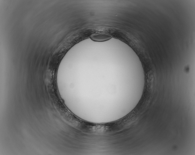 X0000116030225200912111423