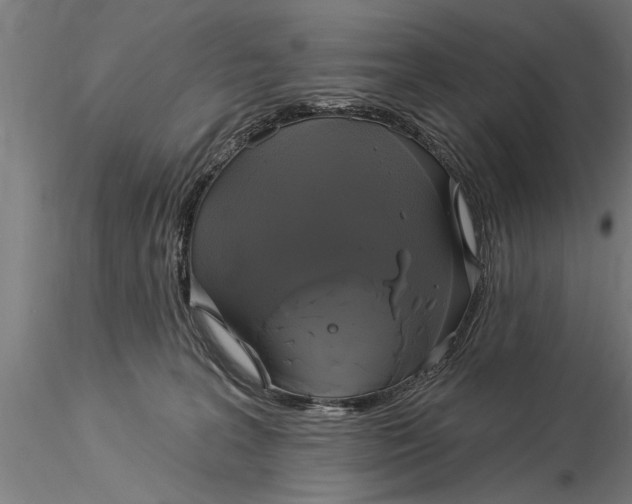 X0000116030227200912111423