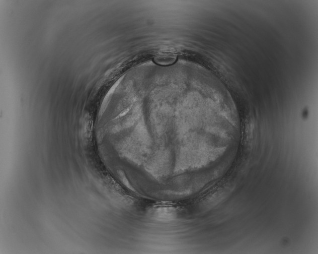 X0000116030228200912111423