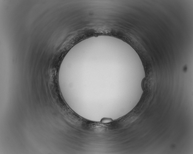 X0000116030229200912111423