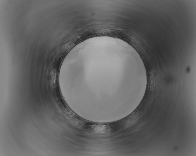 X0000116030230200912111423