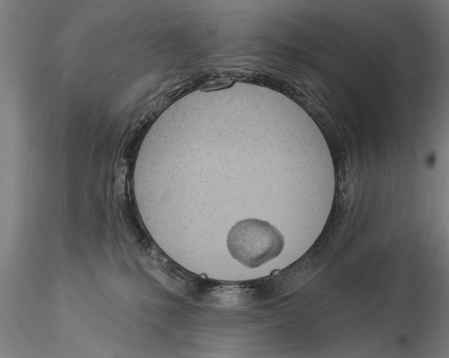 X0000116030231200912111423