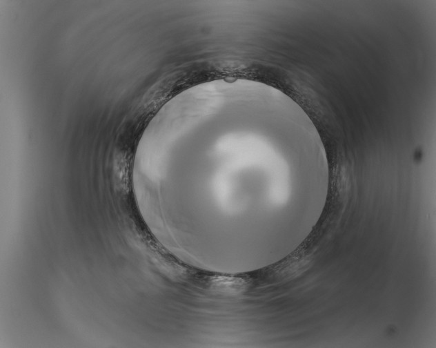 X0000116030234200912111423