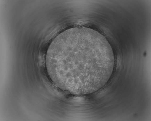 X0000116030236200912111423