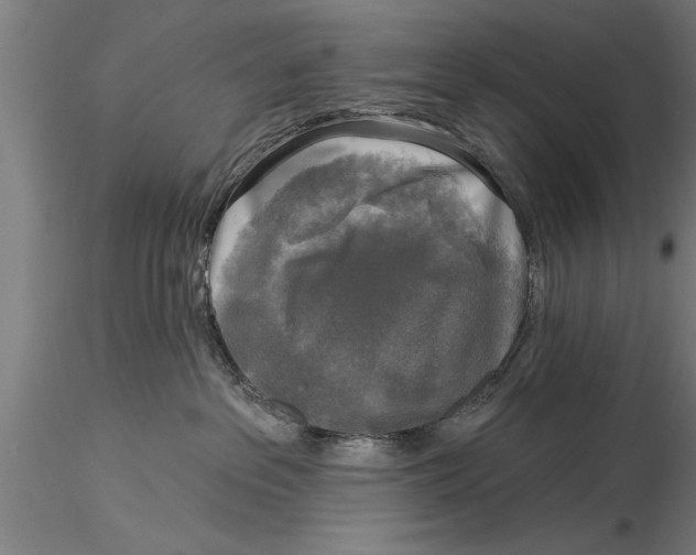 X0000116030237200912111423