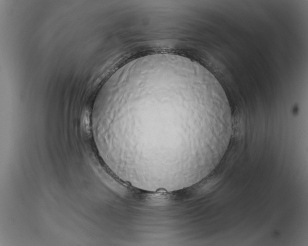 X0000116030238200912111423