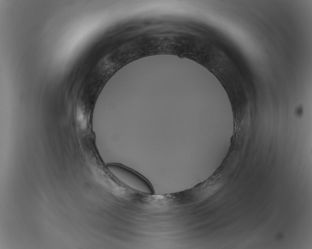 X0000116030239200912111423