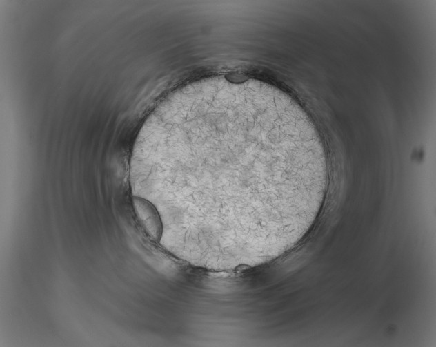 X0000116030240200912111423