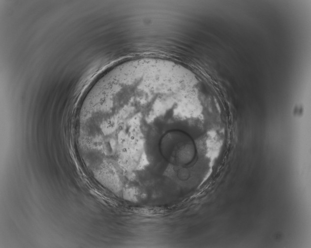 X0000116030241200912111422