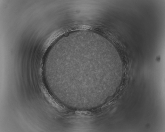 X0000116030242200912111422