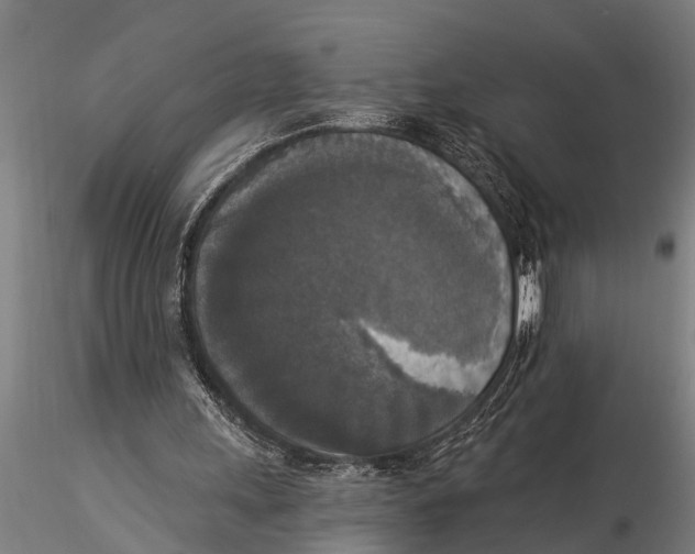 X0000116030243200912111422