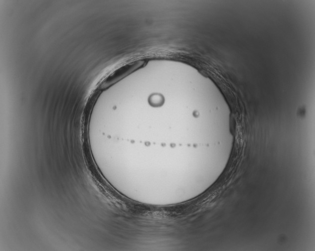 X0000116030244200912111422