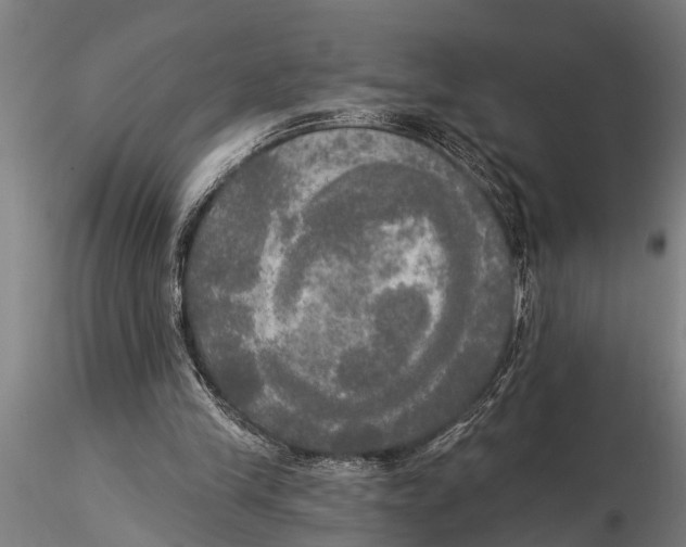 X0000116030245200912111422